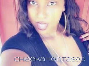 CheekaHontas90