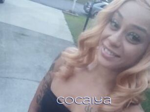Cocaiya