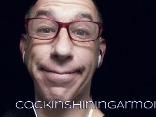CockInShiningArmor