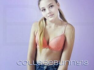 CollegeBunny18