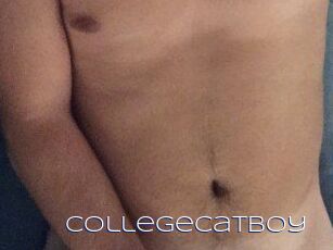 CollegeCatBoy Blue Hot