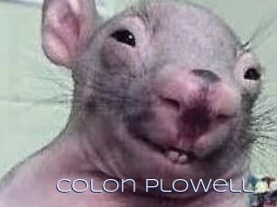 Colon_Plowell