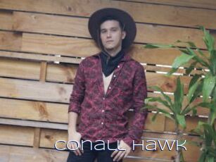 Conall_Hawk