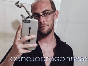 ConejoDragon8886