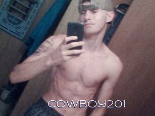 Cowboy201