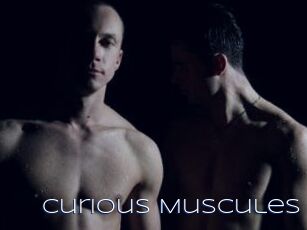 Curious_Muscules