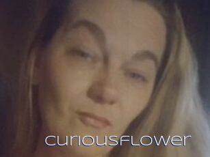 Curiousflower