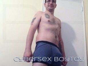 CyberSex_BoyToy