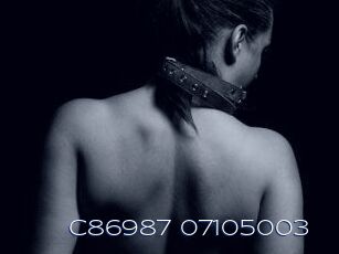 C86987-07105003