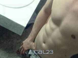 Cal23