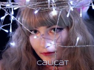 Calicat