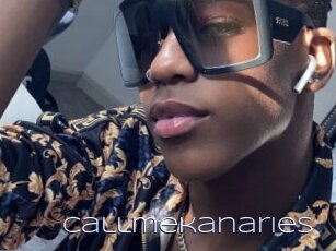 callmekanaries Blue Hot