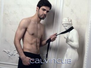 Calvincub