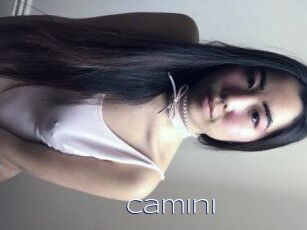 Camini