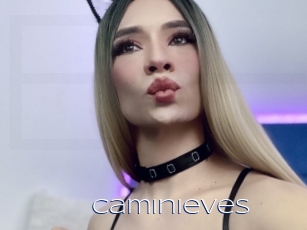 Caminieves