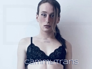 cammytrans Blue Hot