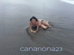 Canariona23
