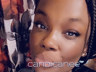 Candicanee