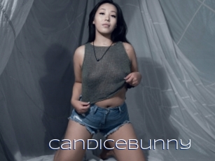 Candicebunny