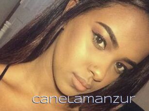 Canelamanzur