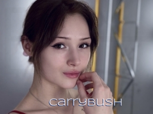 Carrybush