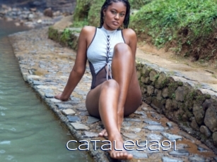 Cataleya91