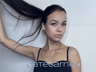 Categarney