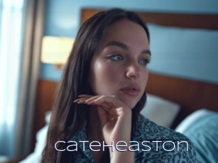 Cateheaston