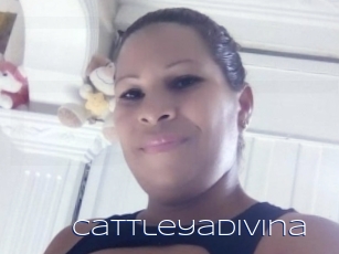 Cattleyadivina