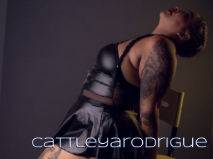 cattleyarodrigue Blue Hot