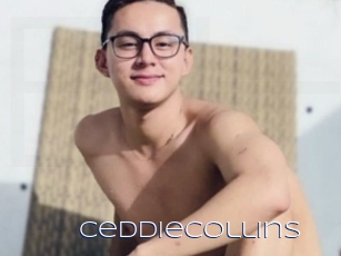 Ceddiecollins