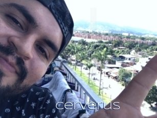 Cerverus