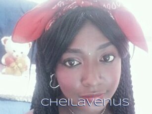 cheilavenus Blue Hot