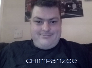 Chimpanzee