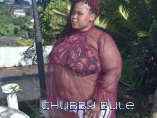 Chubby_bule