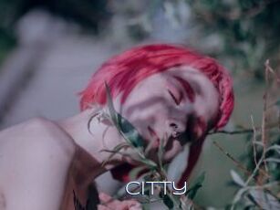 Citty