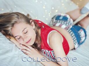 Collegedove