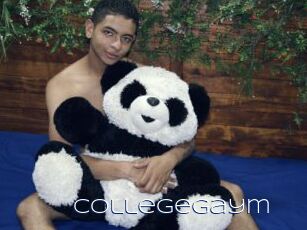Collegegaym