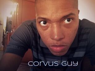 Corvus_guy