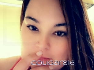 cougar816 Blue Hot