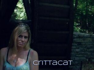 Crittacat