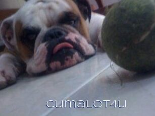 Cumalot4u