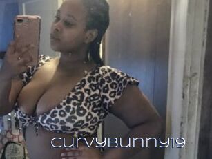 Curvybunny19