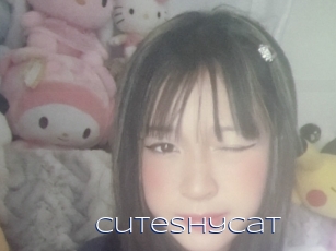 Cuteshycat