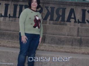 Daisy_Bear