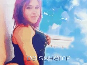 Daisy_hemp
