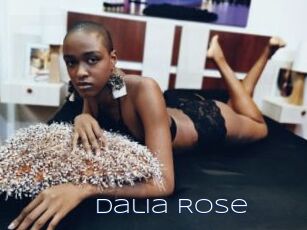 Dalia_Rose