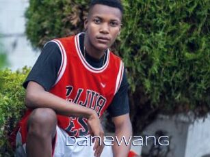 DaneWang