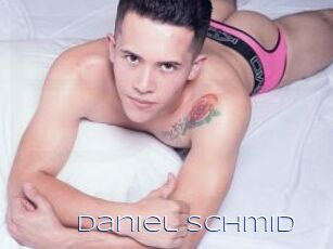 Daniel_Schmid