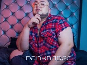 DanyBridge